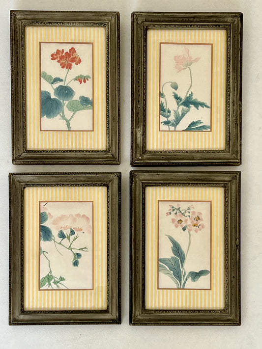 1950s British Botanical Paintings Framed by Alfred Hecht (Set of Four)