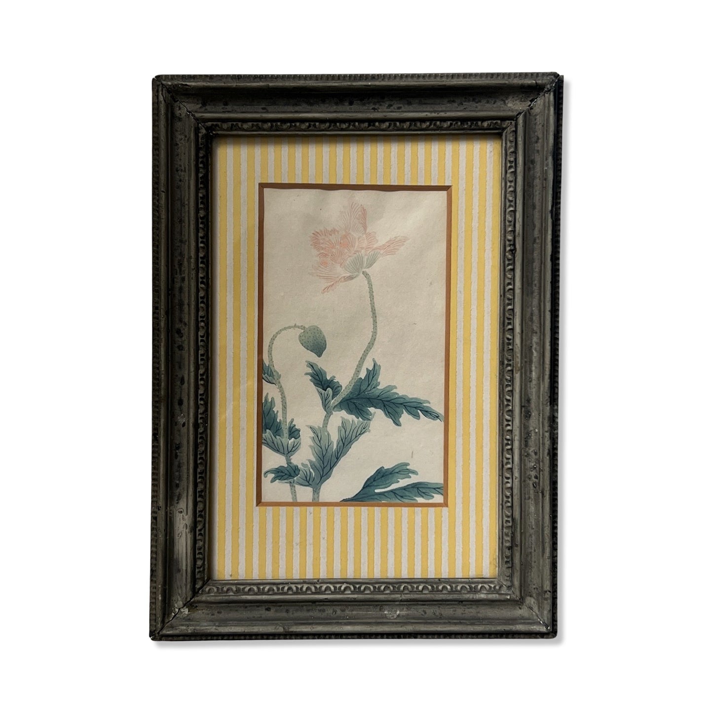 1950s British Botanical Paintings Framed by Alfred Hecht (Set of Four)