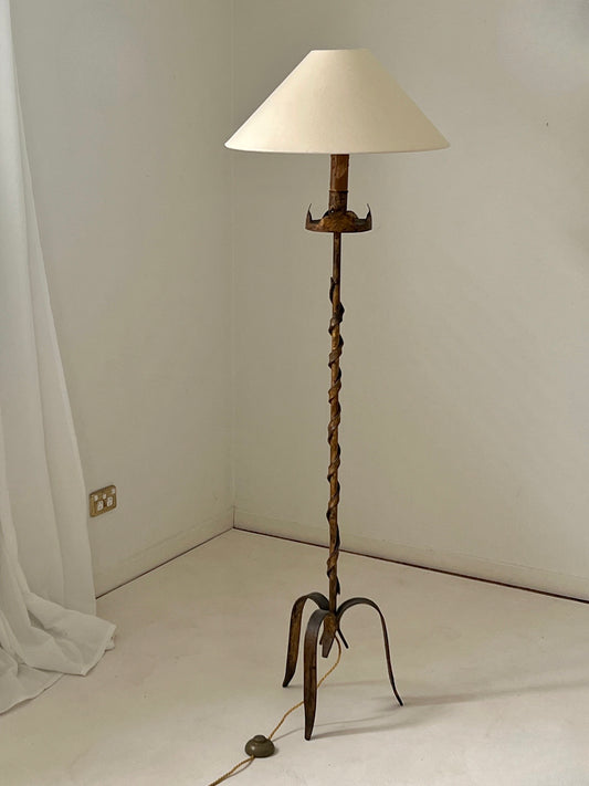 Mid Century Iron Floor Lamp, France