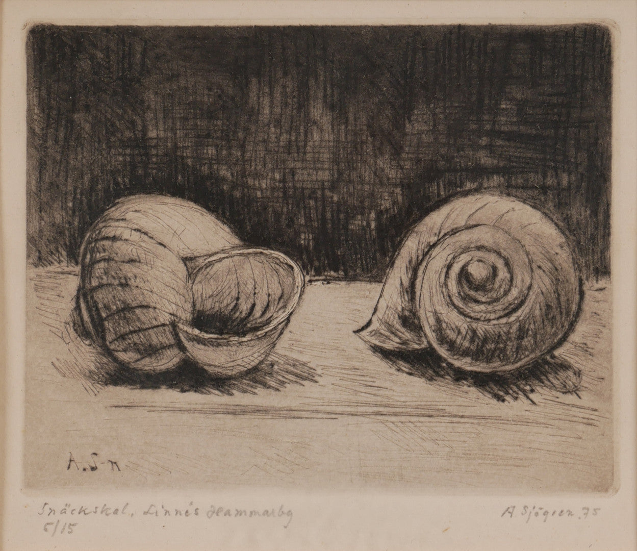 1975 Signed Etching, "Seashells", by Alex Sjögren - Sweden