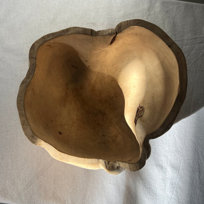 Large Pale Birchwood-Burl Bowl, Sweden