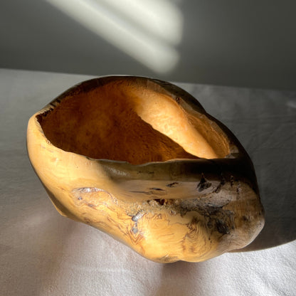 Petite Birchwood-Burl Bowl, Sweden